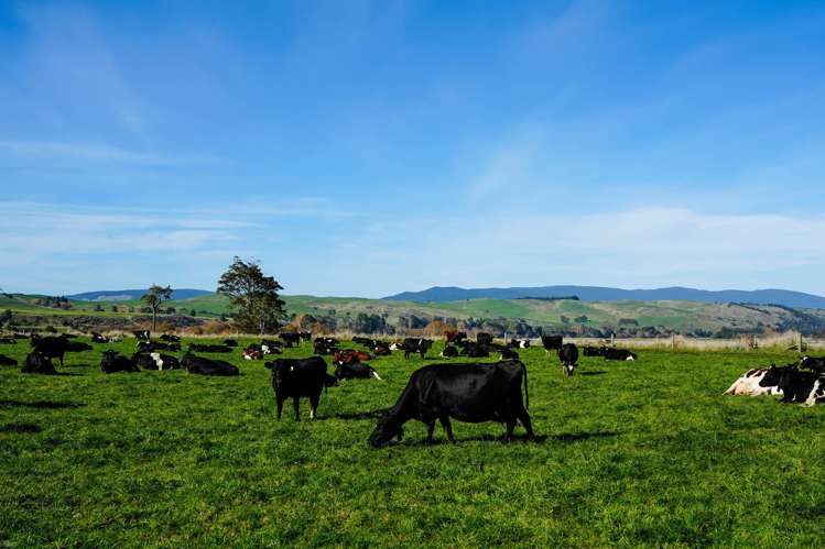 2803 Ohai Clifden Highway Orawia_14