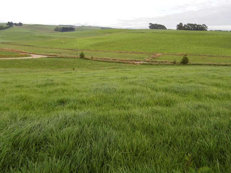 191 Cowans Road Enfield and Surrounds_9