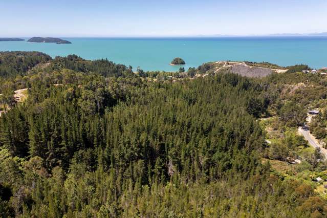 Unleash Your Imagination: Premium Kaiteriteri Land