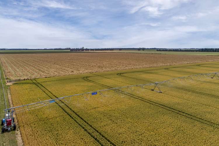 534 Winters Road Pendarves_11