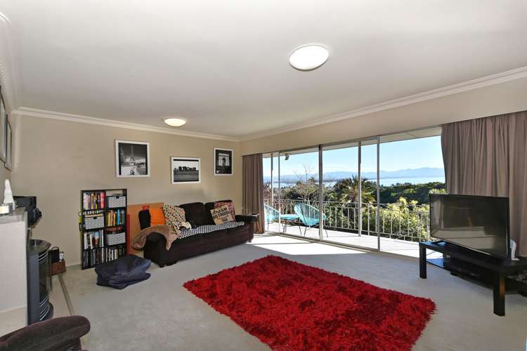 90 Tosswill Road Tahunanui_7