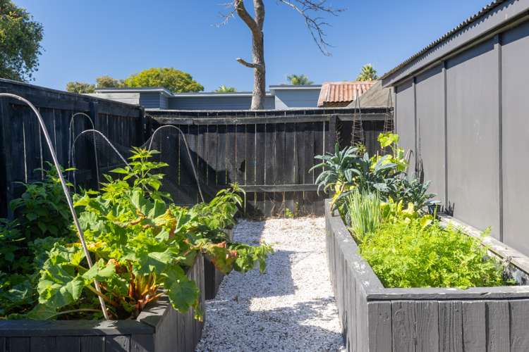 113 Nelson Crescent Napier South_14