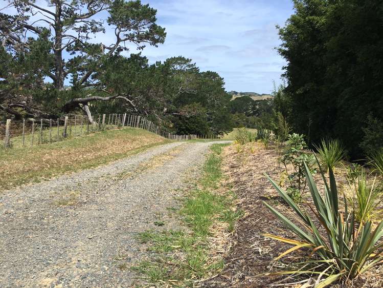 Pebble Brook Road Waitoki_8