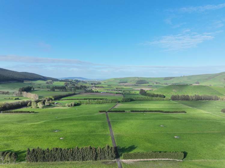 30 Phosphate Road Milton_18