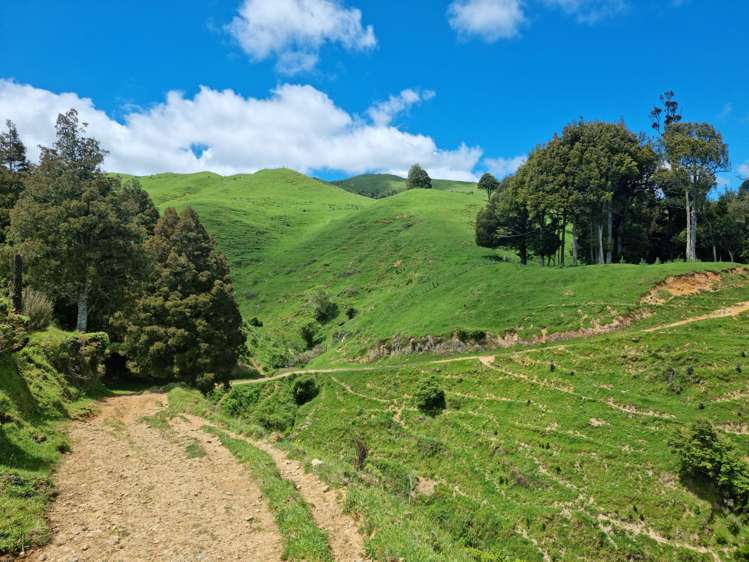 852 Mangawara Road Tahuna_11