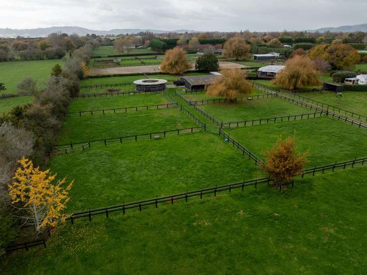 204 Racecourse Road Cambridge_30