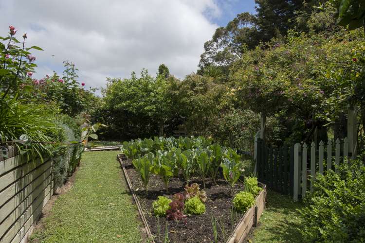 12 Miller Avenue Paeroa_25