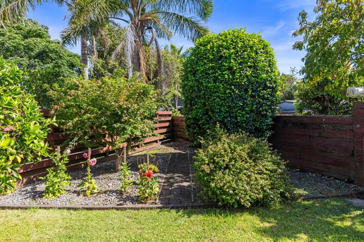 40A Waitui Grove Mount Maunganui_13