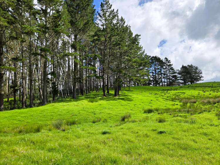 42 Ford Road Paparoa_16