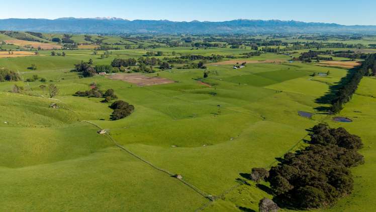 1572 Ponatahi Road Carterton_14