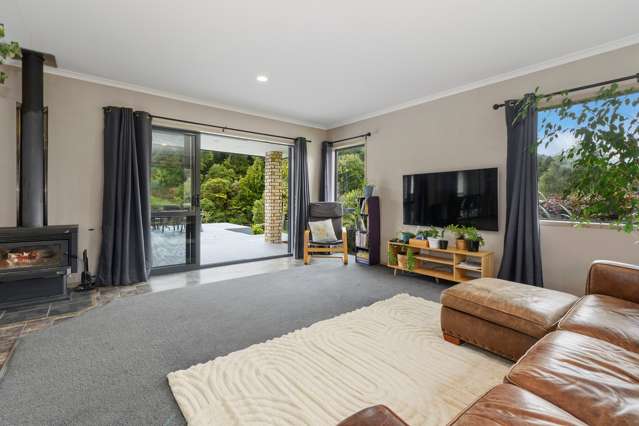 698d Whakamarama Road Whakamarama_4