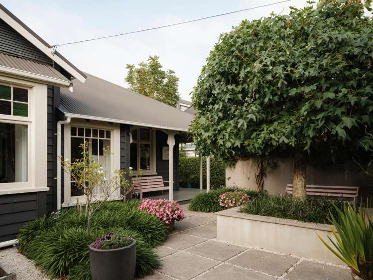 13 Dexter Avenue Mount Eden_8