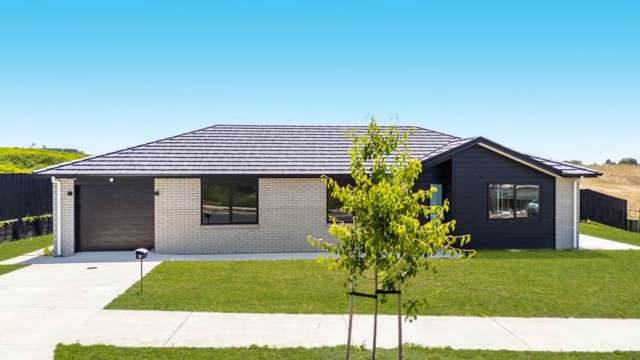 3 Maniapare Road Te Kauwhata_3