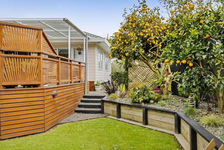 12 Frank Frethey Place Highlands Park_23