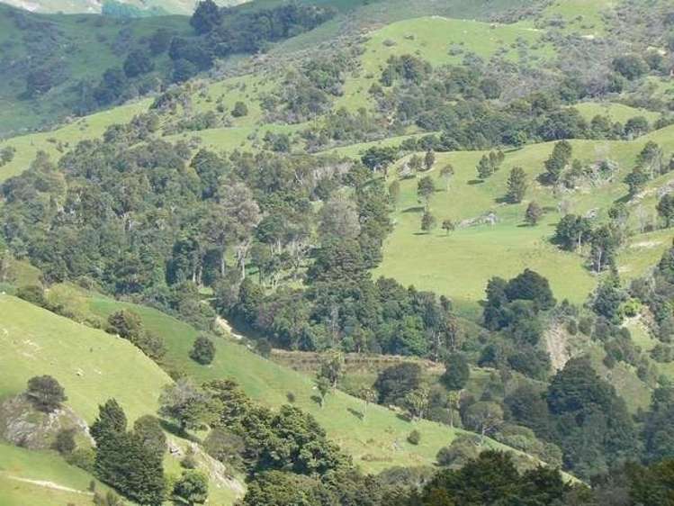 357 Summerhill Road Hinakura_7