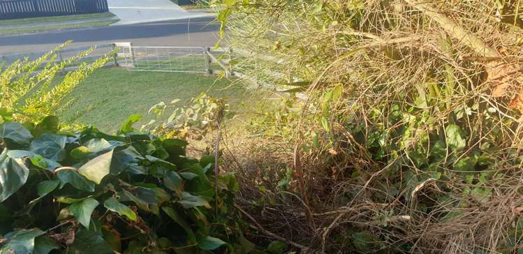 9 Moana Crescent Mangakino_1