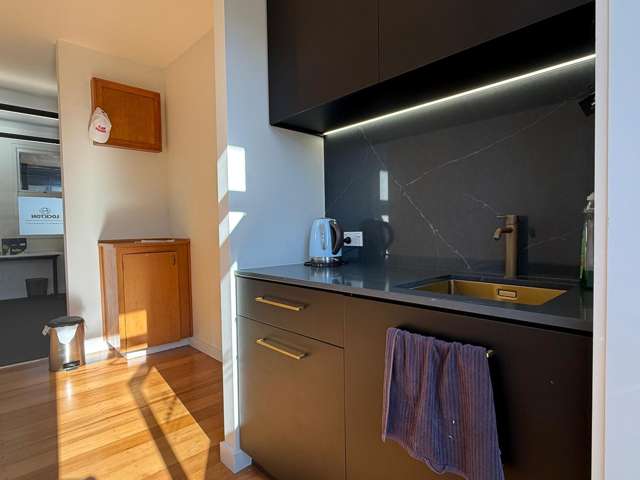 210 Collingwood Street Hamilton Lake_3