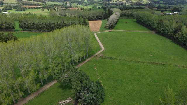 664 Te Pua Road Kaikohe_3