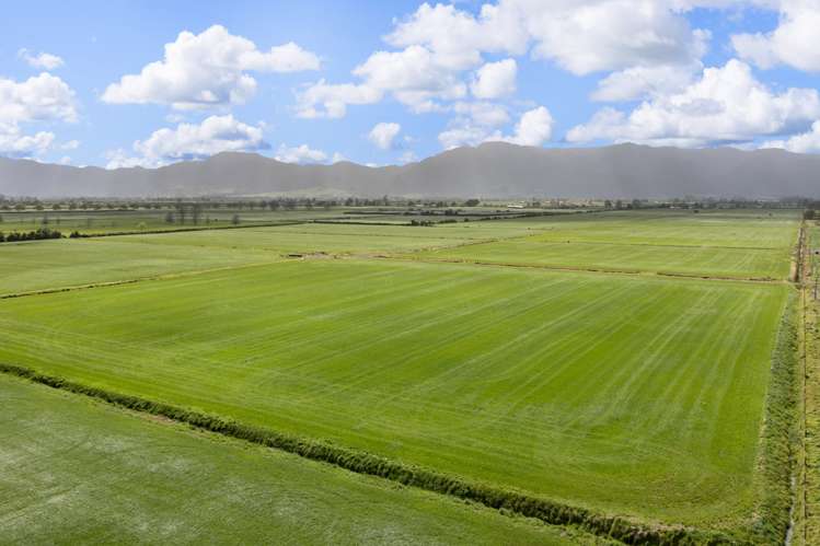 Waghorn Road Manawaru_3