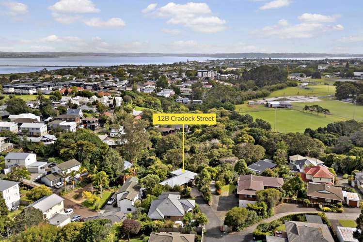 12B Cradock Street Avondale_18