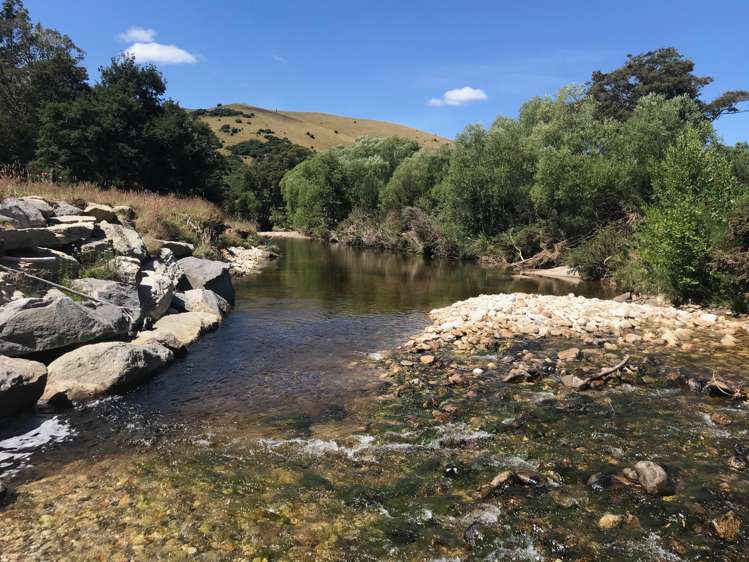 29 Moonlight Road Kahurangi National Park_7