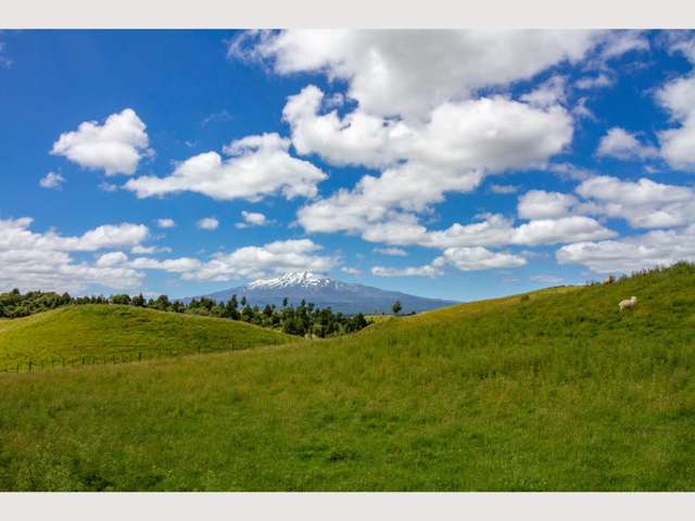 269 Kopurutuku Road Ohakune_4