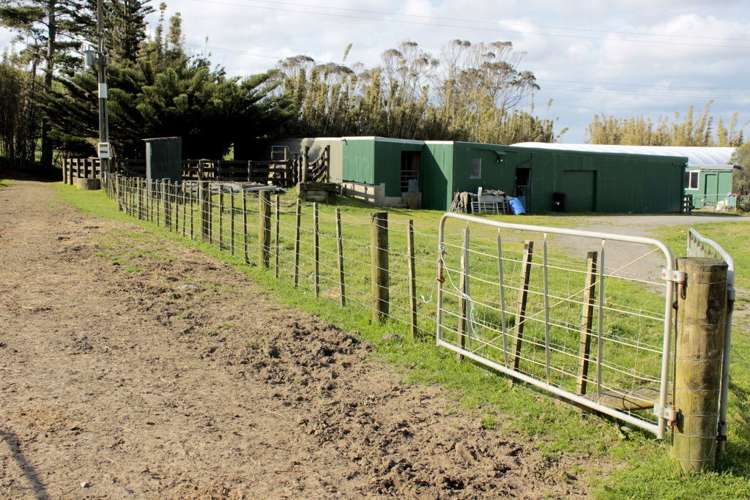 187 Katavich Road Awanui_16