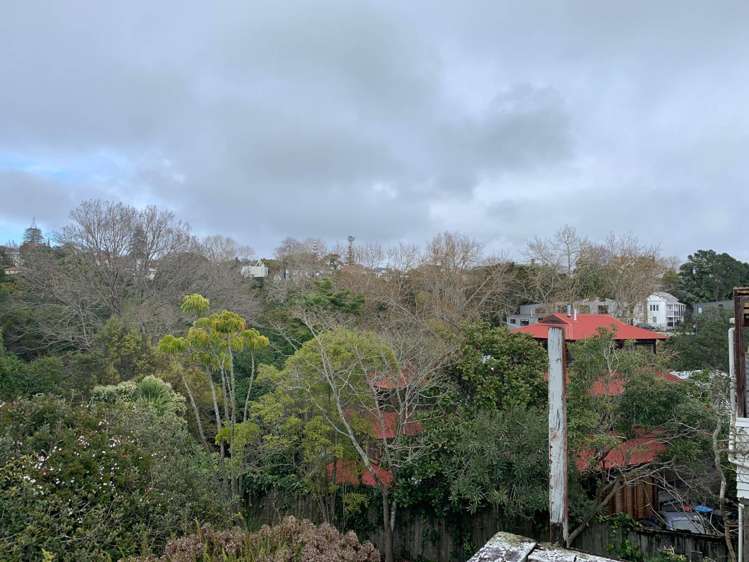 12 Stratford Street Parnell_8