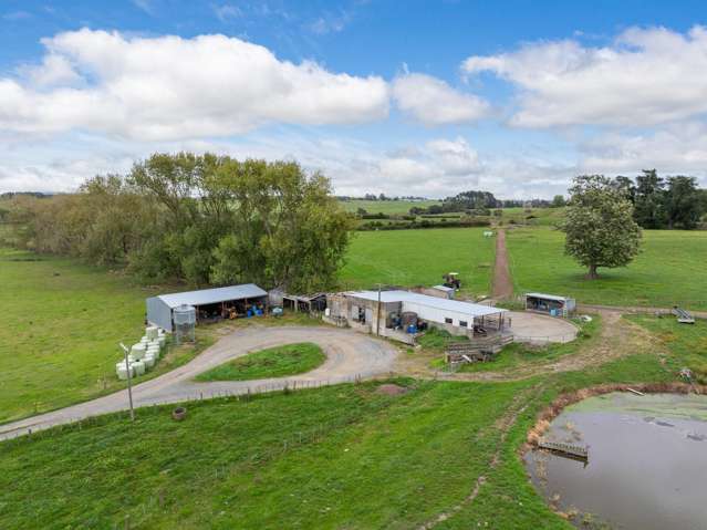 585 Morrinsville-Tahuna Road Morrinsville_2