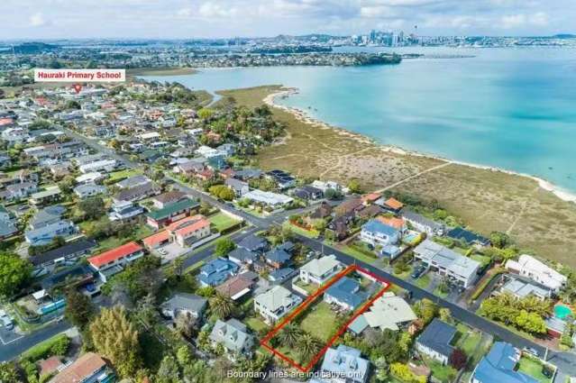 41 Walter Street Hauraki_1