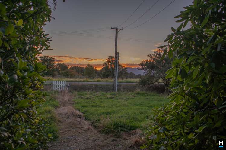 829 Nelson Creek Road Hochstetter_9