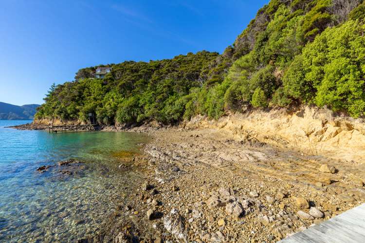 Curious Cove Curious Cove_17