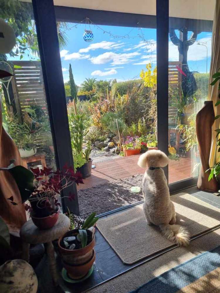 10 Stedley Place Heathcote Valley_7