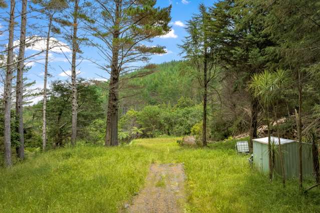 170 Ashton Road Whangateau_4