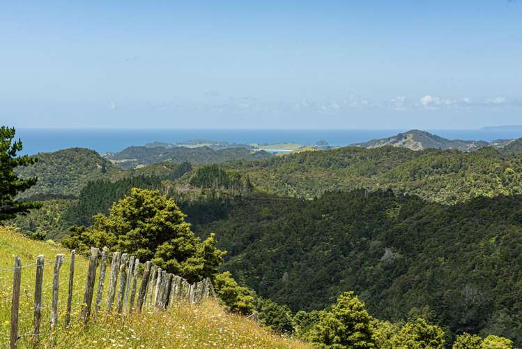 1403 Russell Road Helena Bay_10