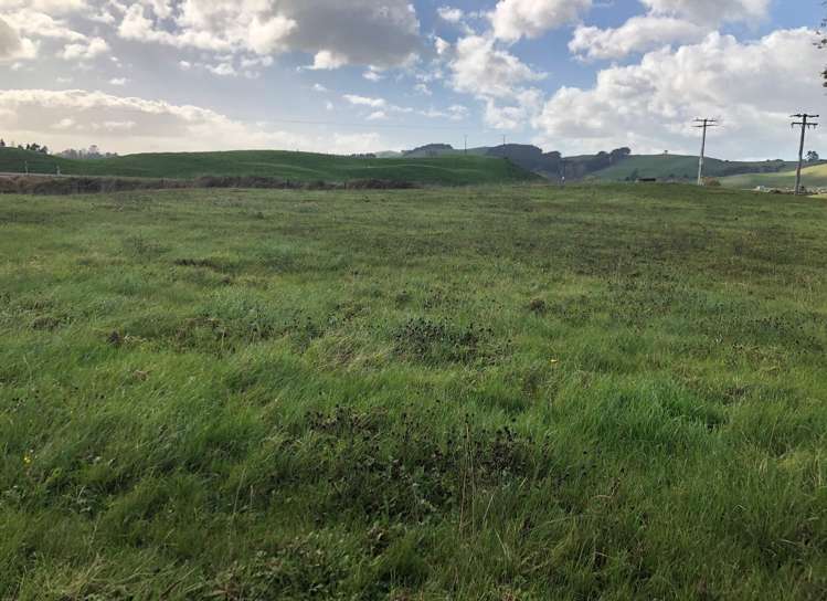 431 Maihiihi Road Maihiihi_5