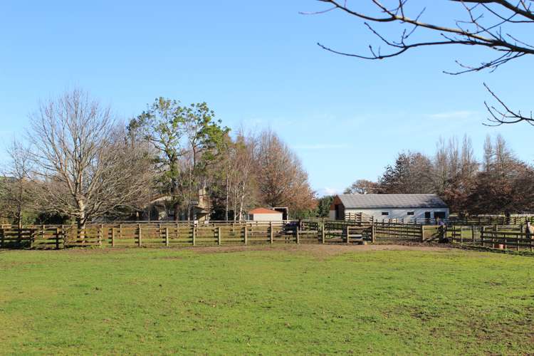 113 Morrinsville-Walton Road Morrinsville_4