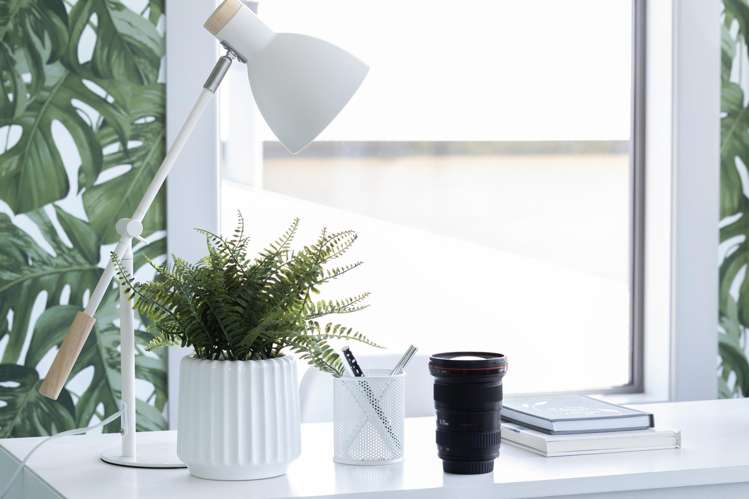 315 Chelmsford Street Waverley_25