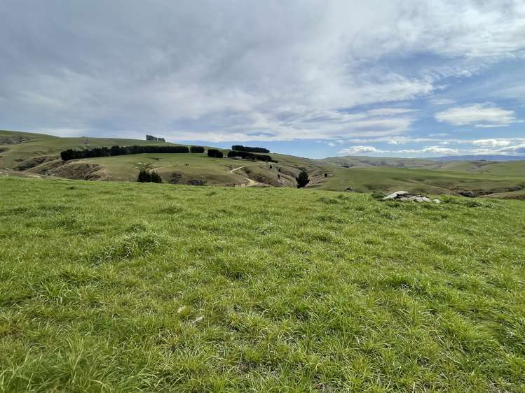 968 Wallaces Ford Road Hindon_21