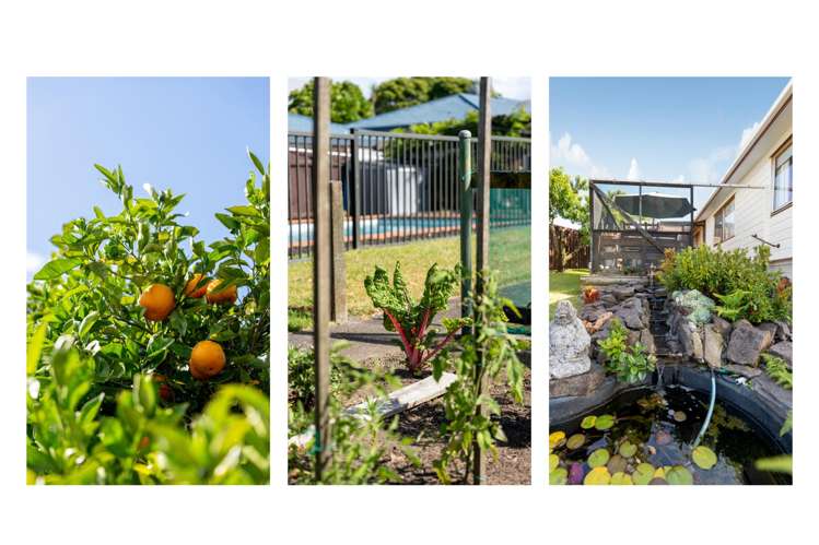 19 Percy Road Papamoa_16