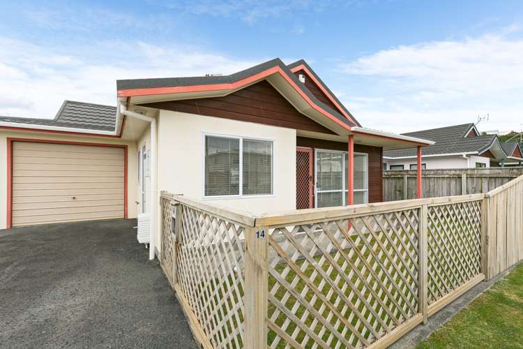 14 Tahi Street Miramar_16