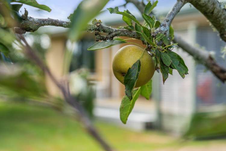 690 Frontier Road Pirongia_31