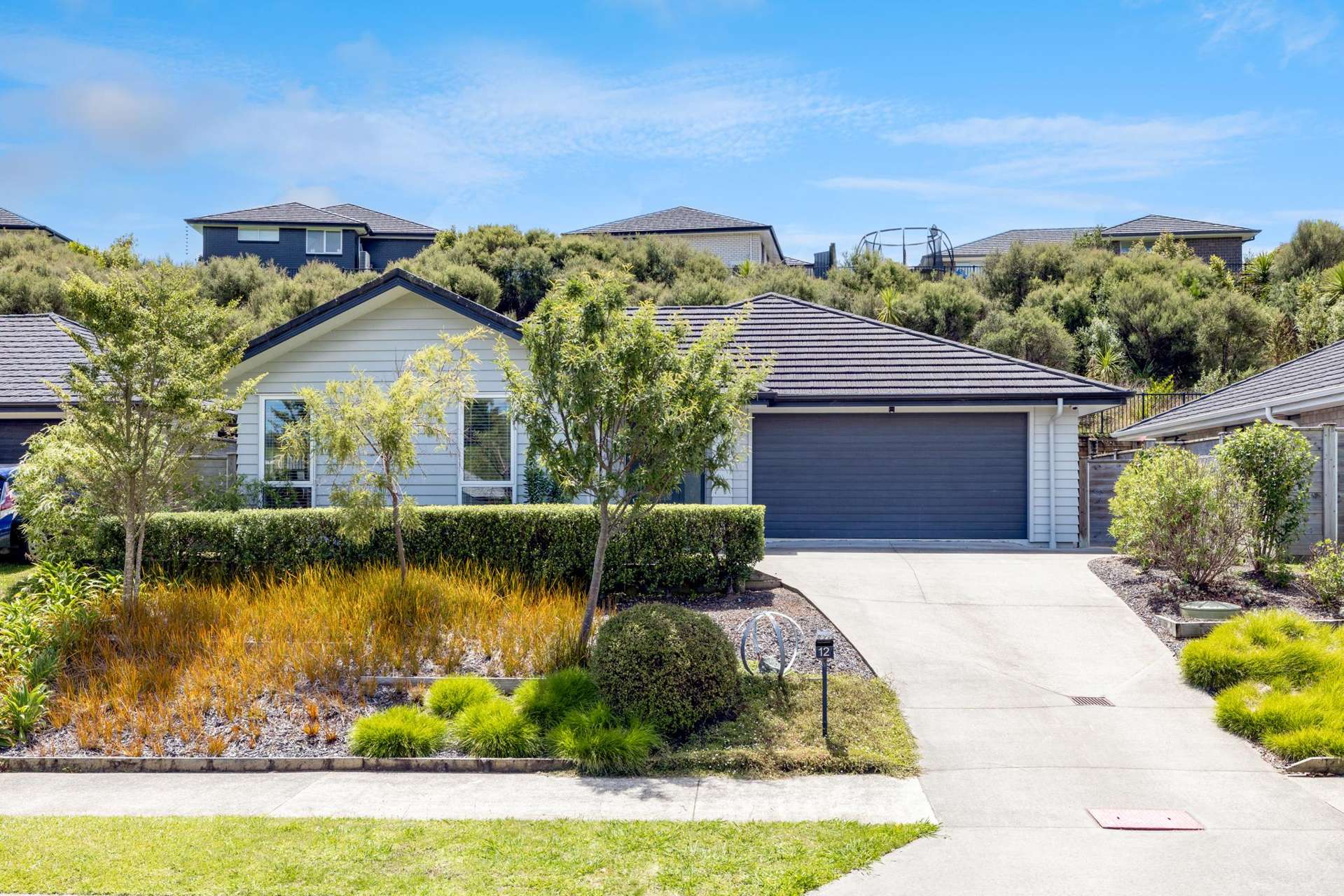 12 Ella Anne Crescent Warkworth_0