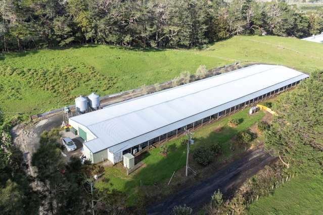 45 Tawa Road Kumeu_1