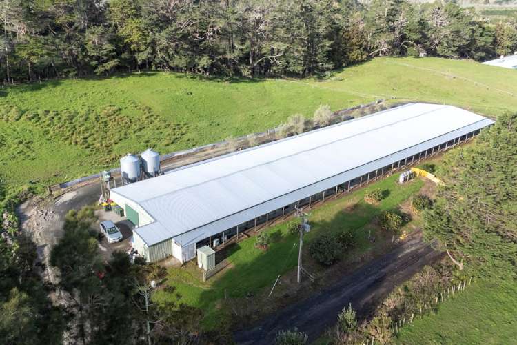 45 Tawa Road Kumeu_1