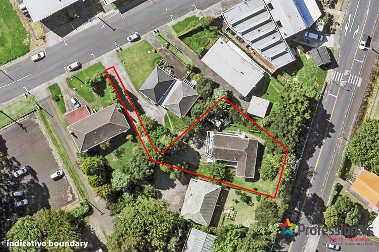 14 Domain Road Panmure_7