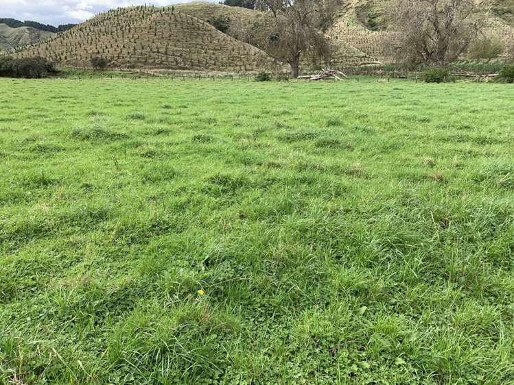 138 Quarry Road Stratford_9