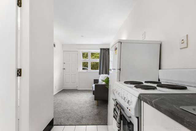 1/51 Adams Terrace Kelburn_3