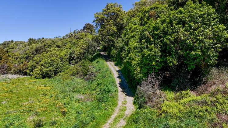 2096 State Highway 2 Kiriwhakapapa_11