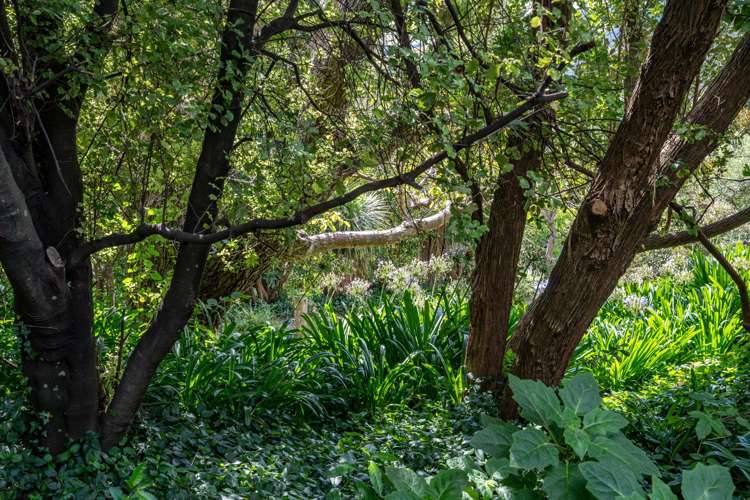 8 Shadbolts Road Pigeon Bay_31